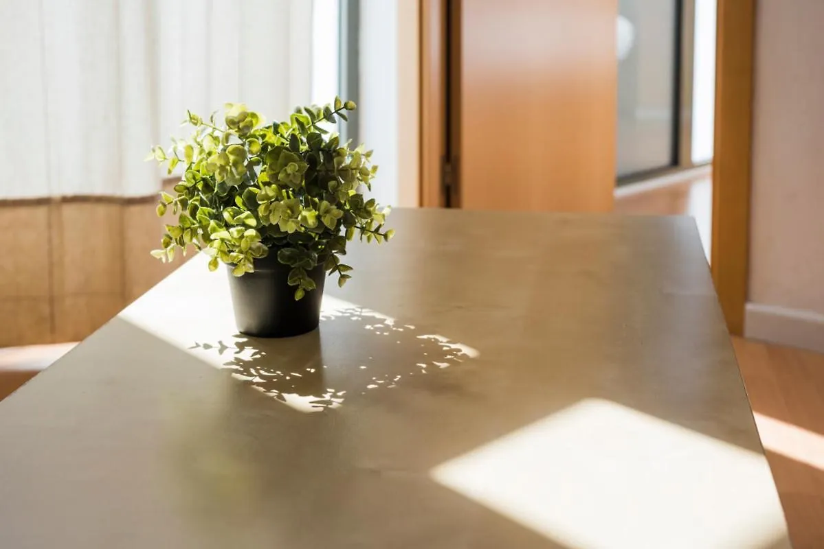 Sf2 - Sagrada Familia Bright & Quiet Apartment Barcelona Spanien